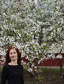 In white cherry-flowers