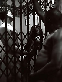 Tasty mature women were sexually penetrated